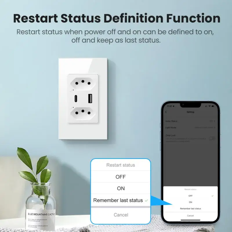 

Tuya Brazil WiFi Wall Socket with Type C USB Port individual Control, Brasil Smart Outlet Plug Work for Google Home/Alexa