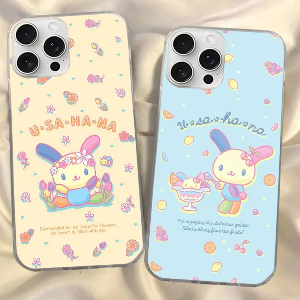 Фото Чехол для телефона Rainbow Bunny USA HaNaS для iPhone 11 12 13 14 15 16 17 Plus Pro Max, сатиновый, глянцевый, с лазерной обработкой №2