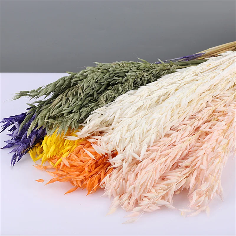 10pcs Colorful Oats Pampas Grass Dried Natural Flower Bouquet Real Plant Home Room Table Decor Wedding Party Decoration