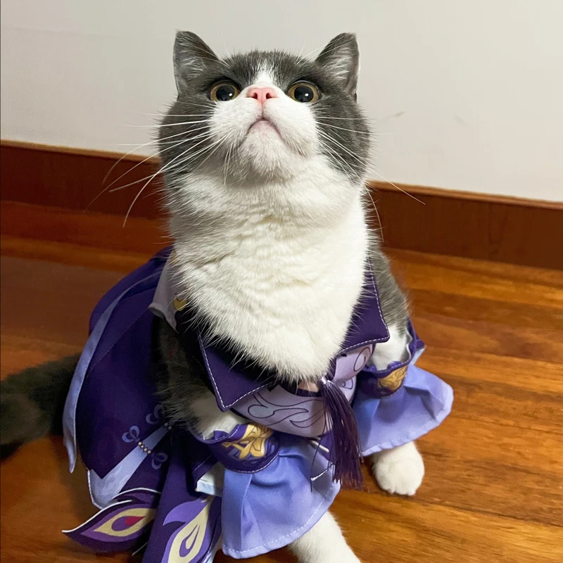

Игра Genshin ударная одежда для домашних животных COS Keqing одежда для домашних питомцев; Кошки loli костюм для собак для Хэллоуина пурпурное боди глаз Бога платье