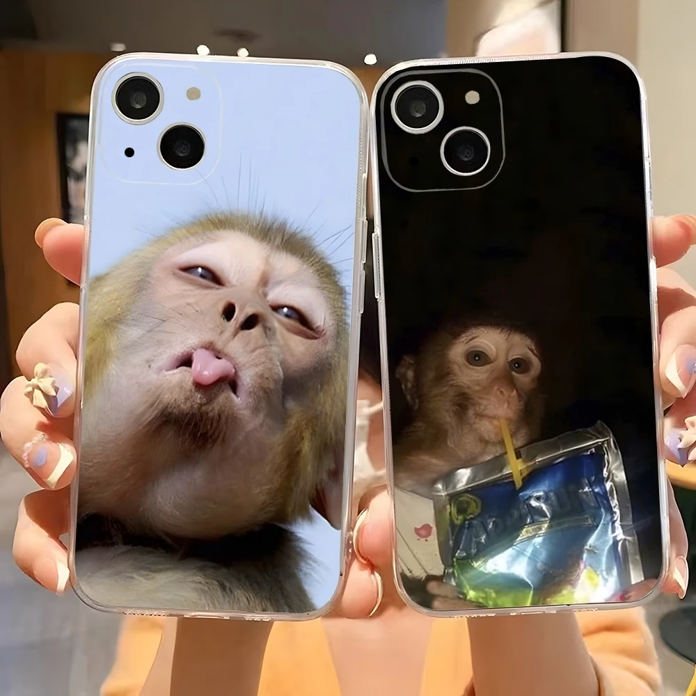 Чехол для телефона с принтом обезьяны 15 Pro Max iphone 14 Plus 11 12 13 Mini 7 8 X XR XS SE прозрачный