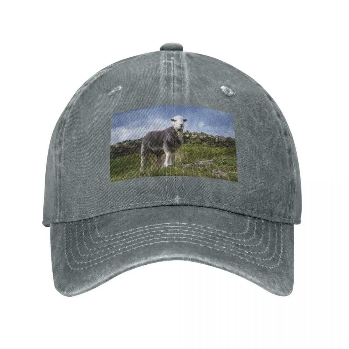 Фото Бейсбольная кепка Happy Herdwick, зимняя шапка, шапка в стиле аниме, мужская шапка большого размера, чайные кепки для женщин и мужчин №2