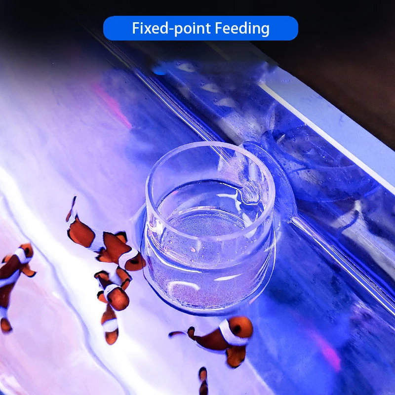 

Clear Arcylic Aquarium Fish Feeder Anti-drift Shrimp Egg Fish Food Feeding Ring Betta Fish Tank Feeding Cup Aquarium Accessories