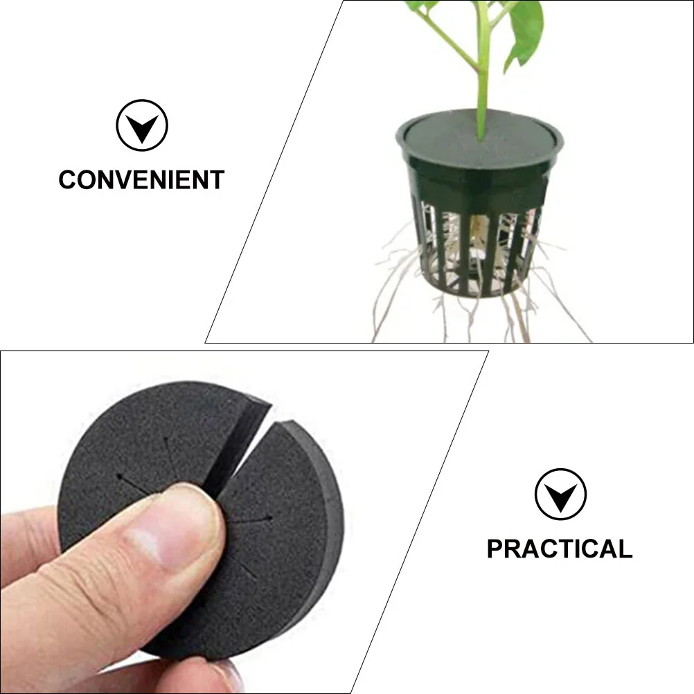 40 шт. подушка для посадки на балконе из Евы перлит растений беспочвенное