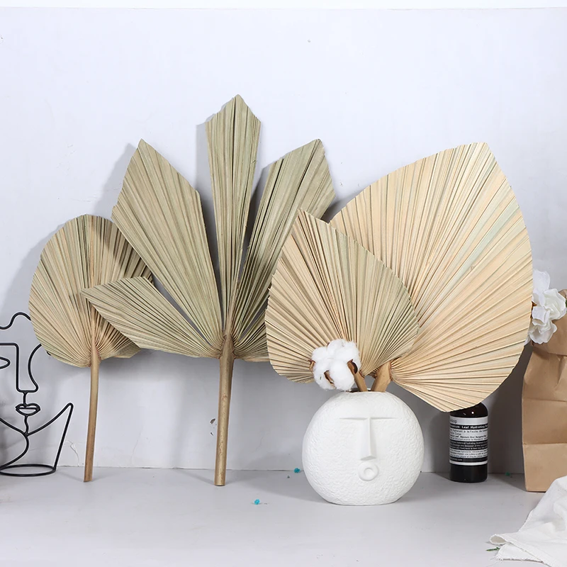 

Palm Fan Leaf Dried Flower Palm Leaf Window Reception Party Art Wall Hanging Decoration Wedding Arch Arrangement