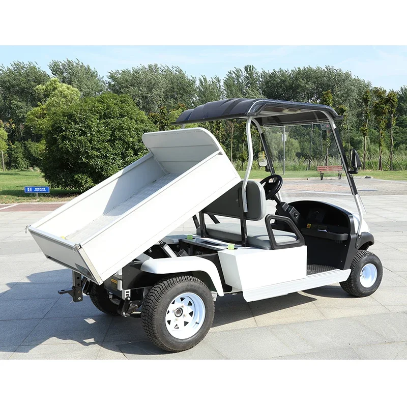 Поддержка OEM электрической тележки для гольфа с задней корзиной и багги