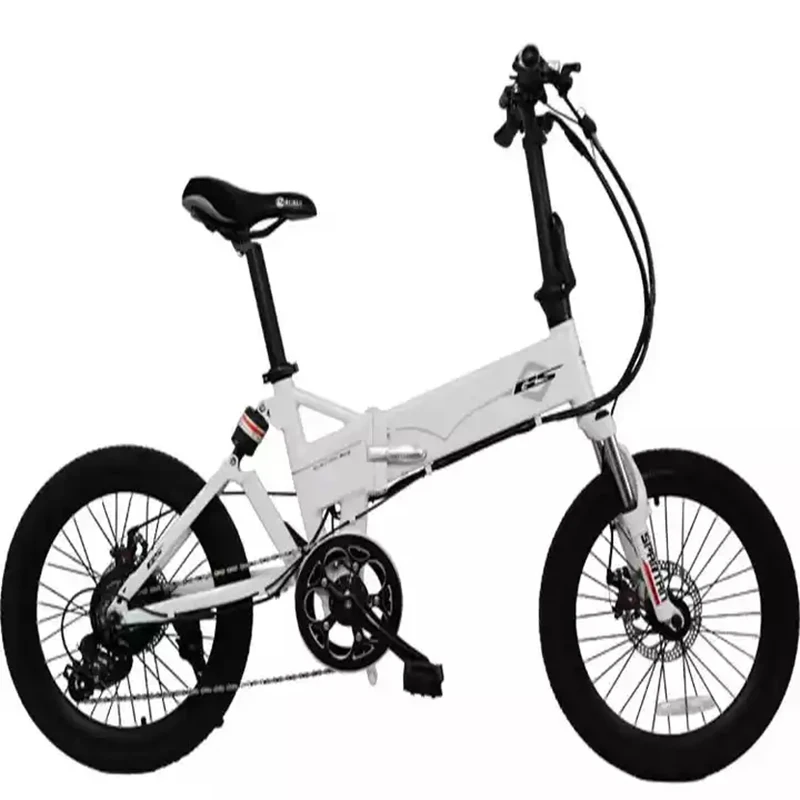 

Simple 48V 250W Lithium Electric Bicycle Folding Hidden Battery City Adult Low Noise Outdoor