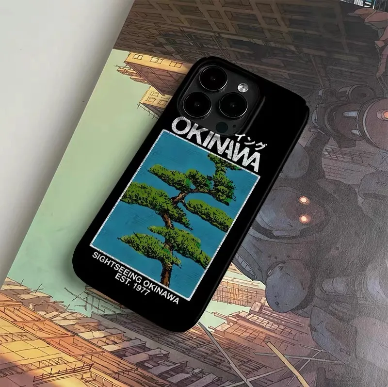 Фото Зеленый акриловый чехол Chongsheng Tourism для iPhone 17 Air, 16E, 15 Pro Max, 14 Plus, 13, 12 Mini, 11 Pro, 16 Plus, XR, XS Max №3