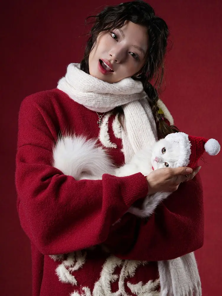 Рисунок 6 - Осенне-зимний мужской свитер с принтом дракона