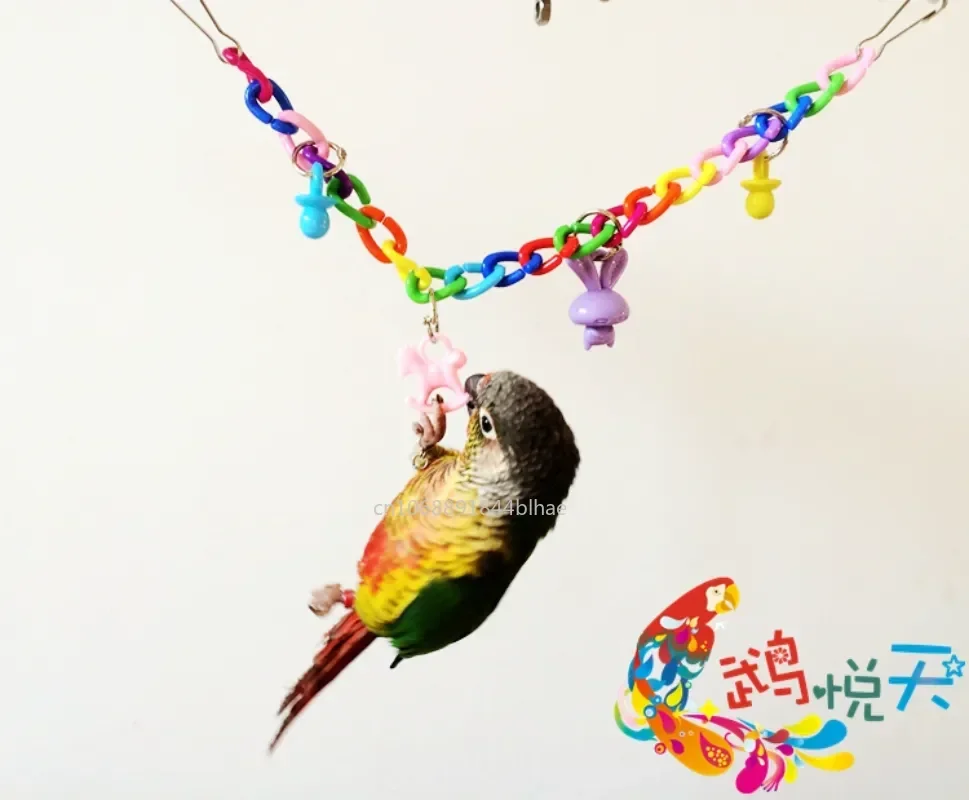 

Supplies Toy Bridge Accessories Exercise Toys Chain Toys Bird Acrylic Cage Funny Pet Colorful Parrot Swing Hanging