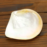 natural yellow mother of pearl jewelry display plate shooting props diy fish tank aquarium landscape furniture decoration