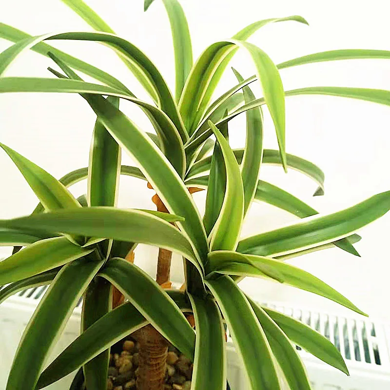 Искусственные драцены в горшках реалистичные тропические искусственные