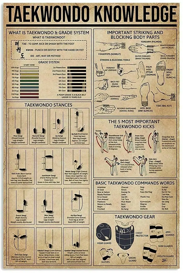 

Винтажный жестяной знак знания о тхэквондо, металлический знак для клуба, информационная графика, настенный плакат для бара, кафе, клуба, де...