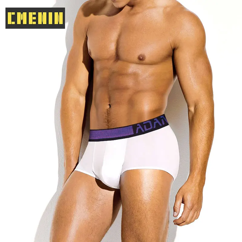 

2Pcs Ins Style Sexy Men's Panties Boxers Pack Shorts Underpants Comfortable Cotton Innerwear Man Underwear Boxer Men Box