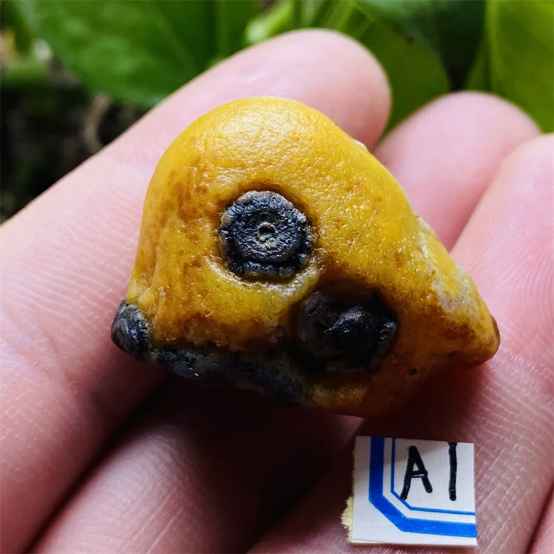 

Natural Stone Raw Crystal Mineral Specimen Room Decor Fengd Shui Reiki Gemstones Crystals and Stones Healing