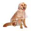 

Raincoat Transparent Hoodie Outdoors Jacket Big Sized Golden Retriever New