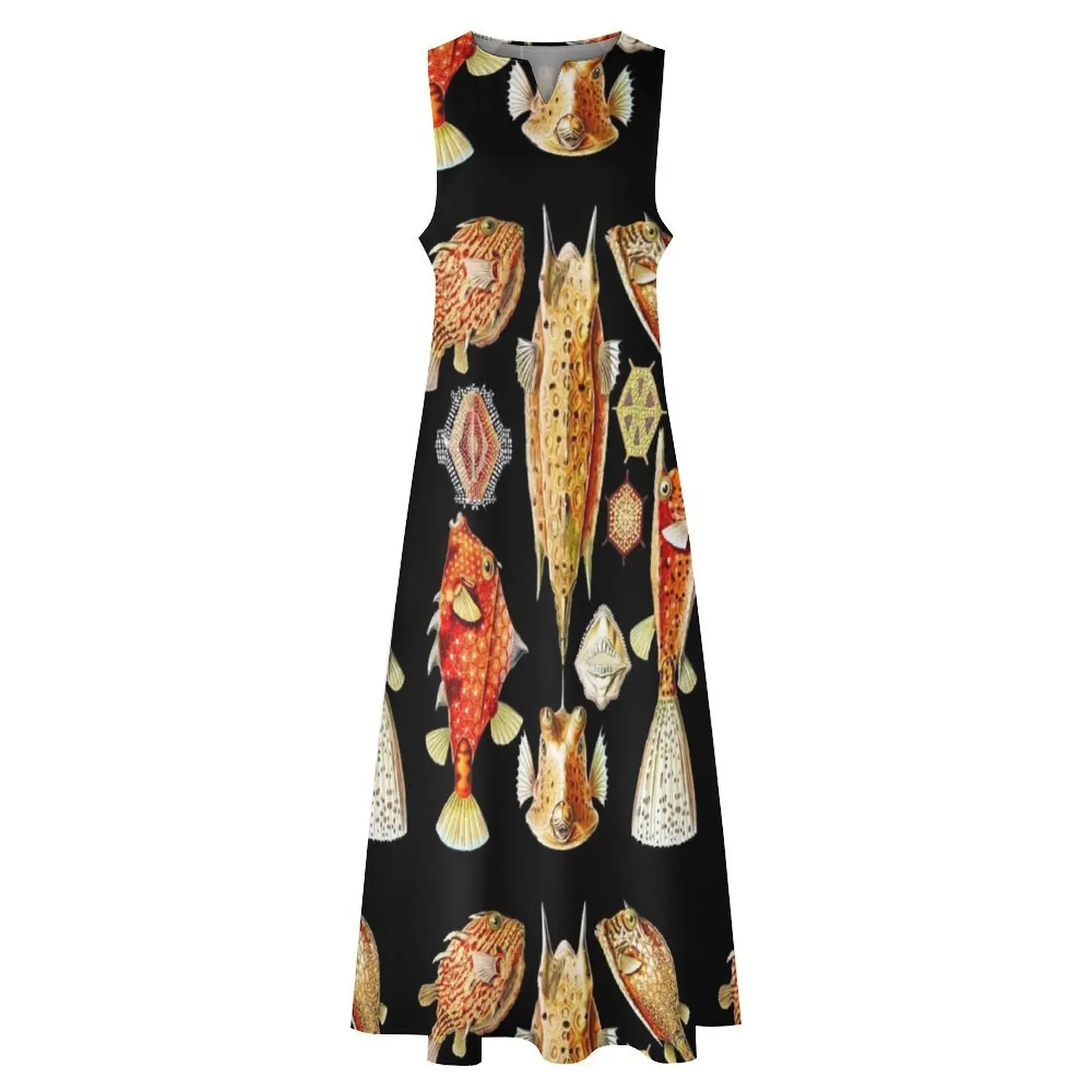 Ostraciontes–Kofferfilche- Box fishes Ernst Haeckel Длинное платье платья для официальных случаев