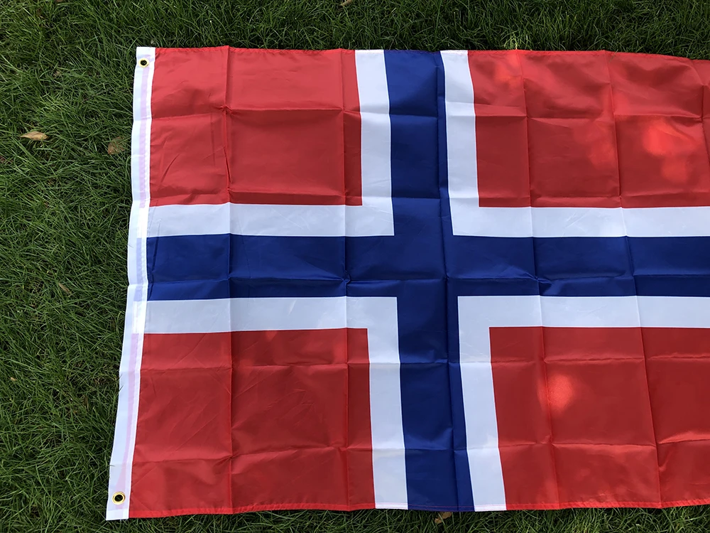 Фото Флаг Норвегии 90x150 см, Kongeriket Noreg Norge, полиэстер, стандартный, для подвешивания, баннер №3