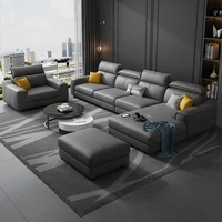 nordic luxury fabric sofa living room modern minimalist technology cloth double small apartment online celebrity combination fur