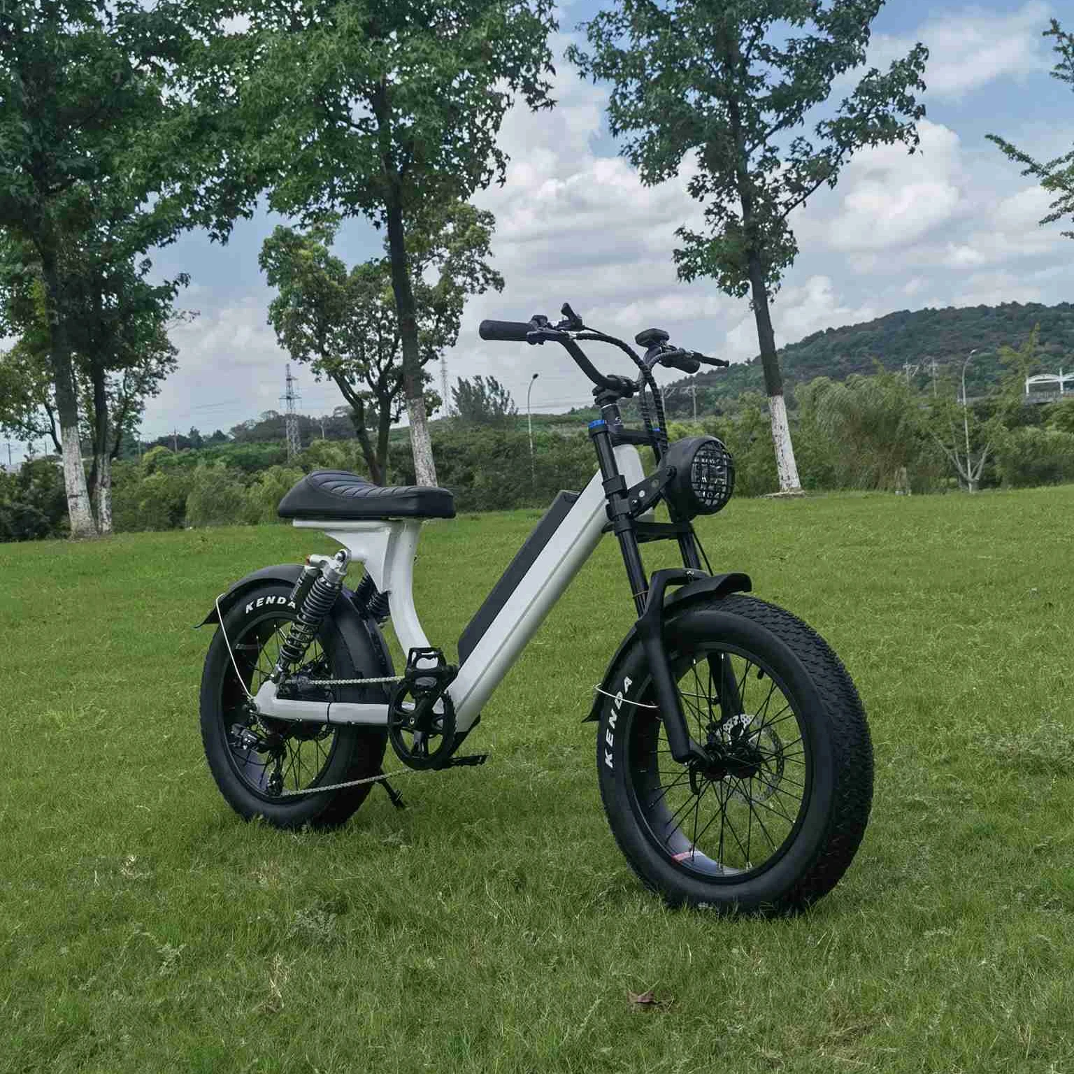 Рисунок 2 - Электрический велосипед eletrica national