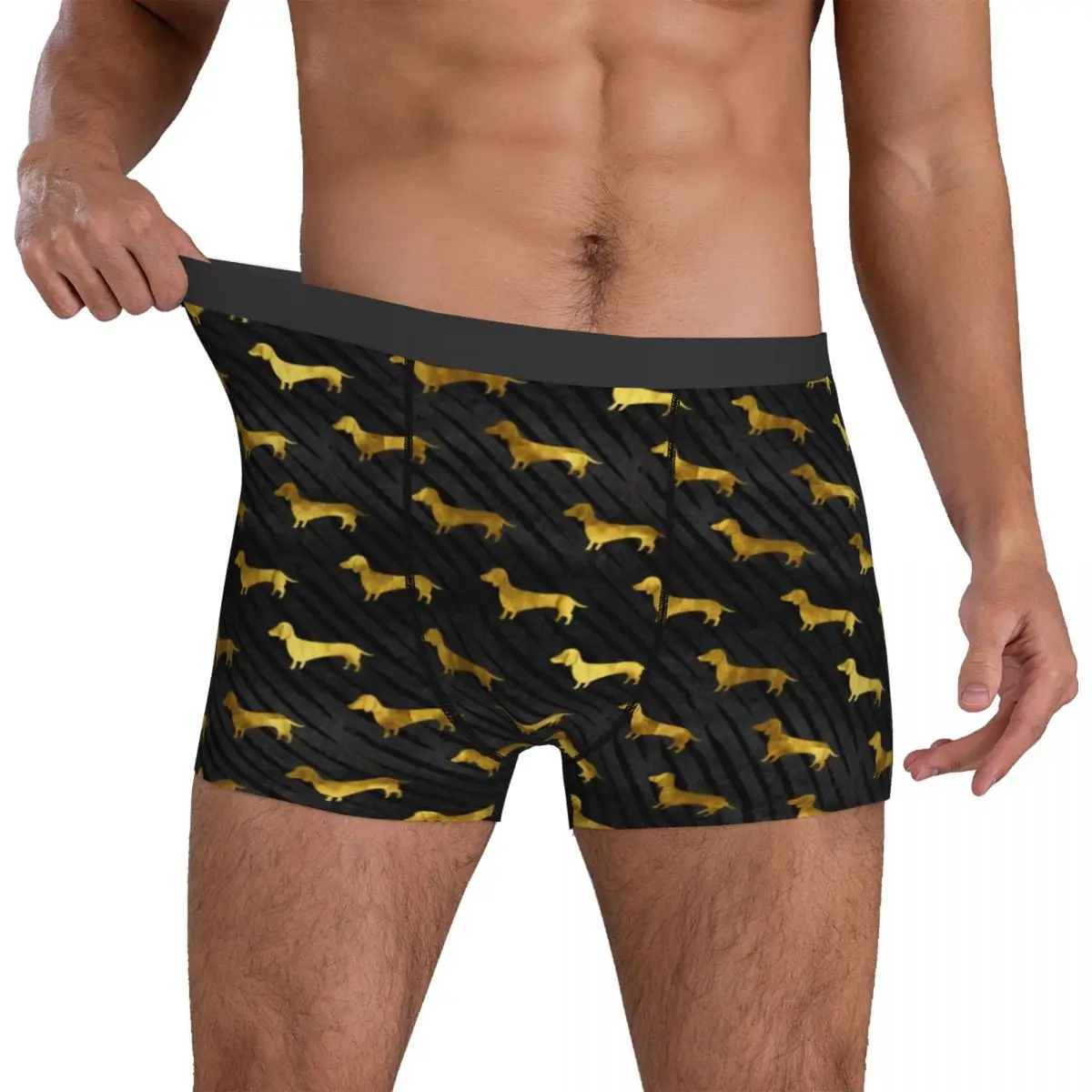 

Dachshund Underwear Black and Gold Dog Funny Underpants Print Boxer Brief 3D Pouch Males Large Size Boxershorts