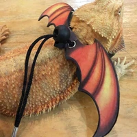 lizard leash comfortable convenient with wings easy to use small animal leash bearded dragon harness for outdoor