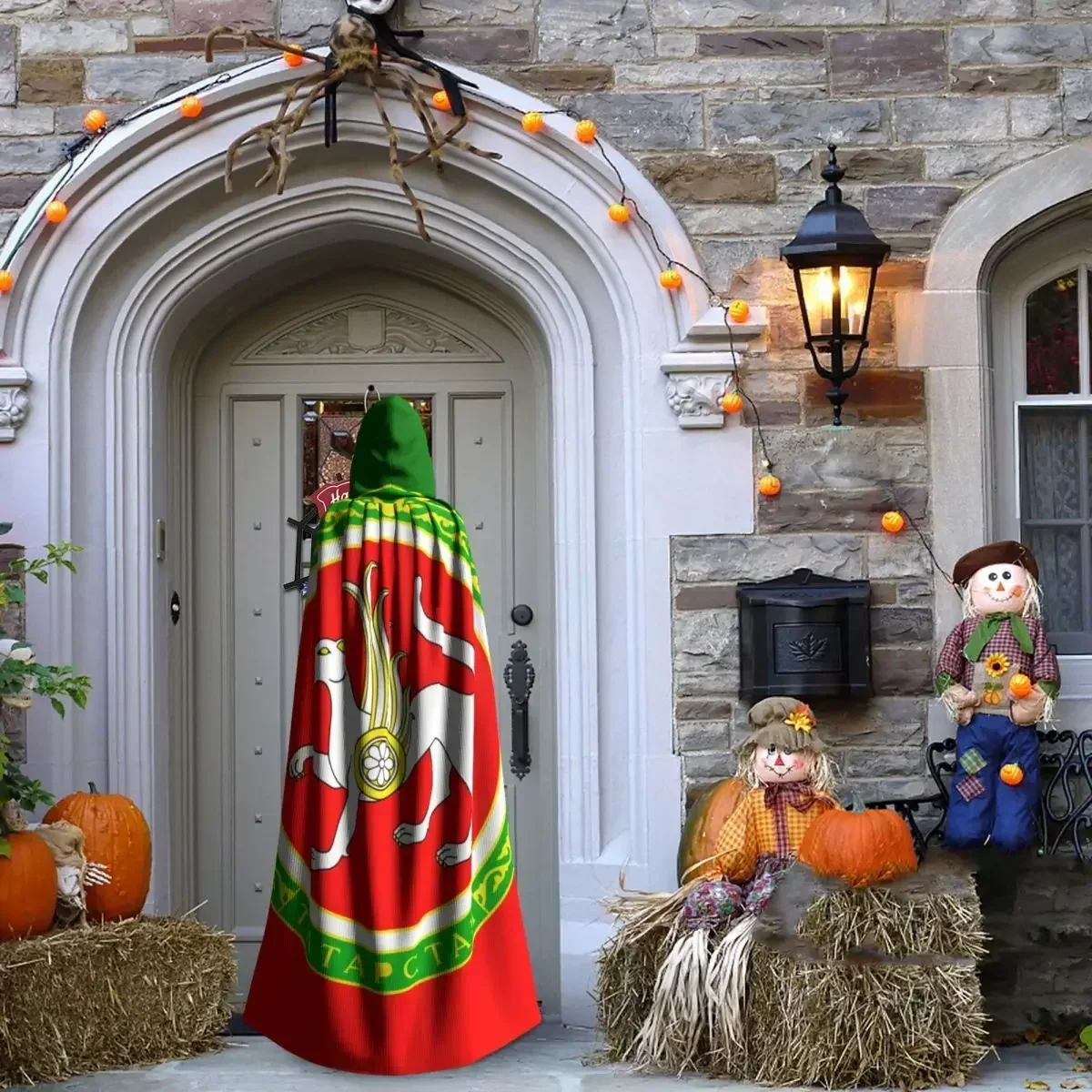 Женская двусторонняя накидка унисекс с капюшоном