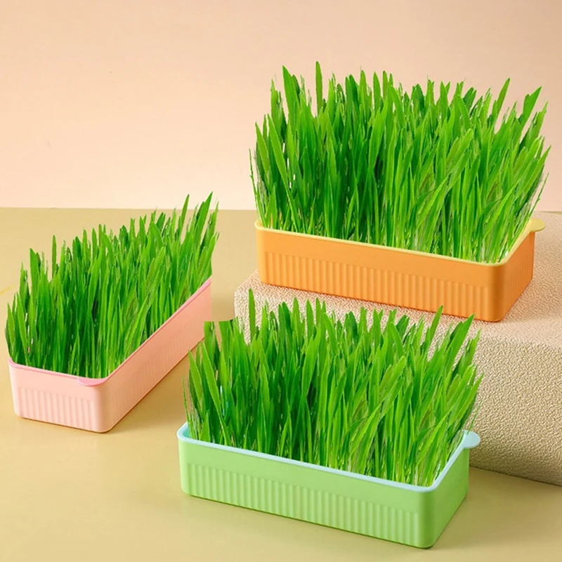 

Microgreens Sprouting Tray For Sprout Horticultural Hydroponic Systems Nursery Potted