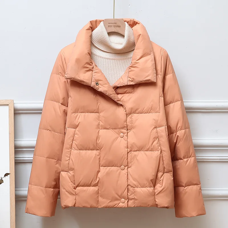 Lightweight Stand Neck Solid Color Jacket Woman Winter 2023 Demi-season Parka Spring Quilted Demi-season Thin Down In Outerwear