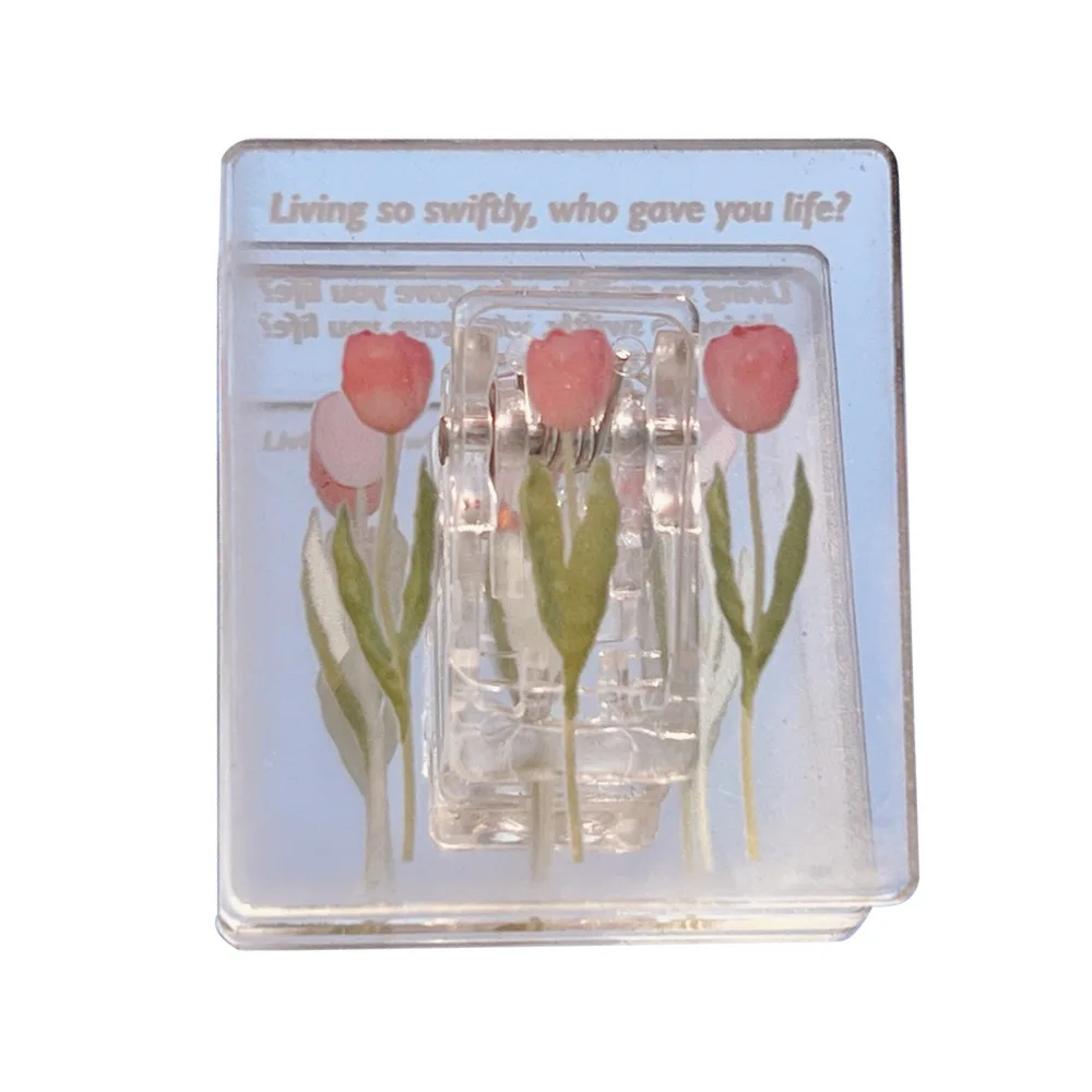 3 Pieces of Tulip Folder Acrylic Simple Long Tail Color Square Candy Manual Account Arrangement | File Folders