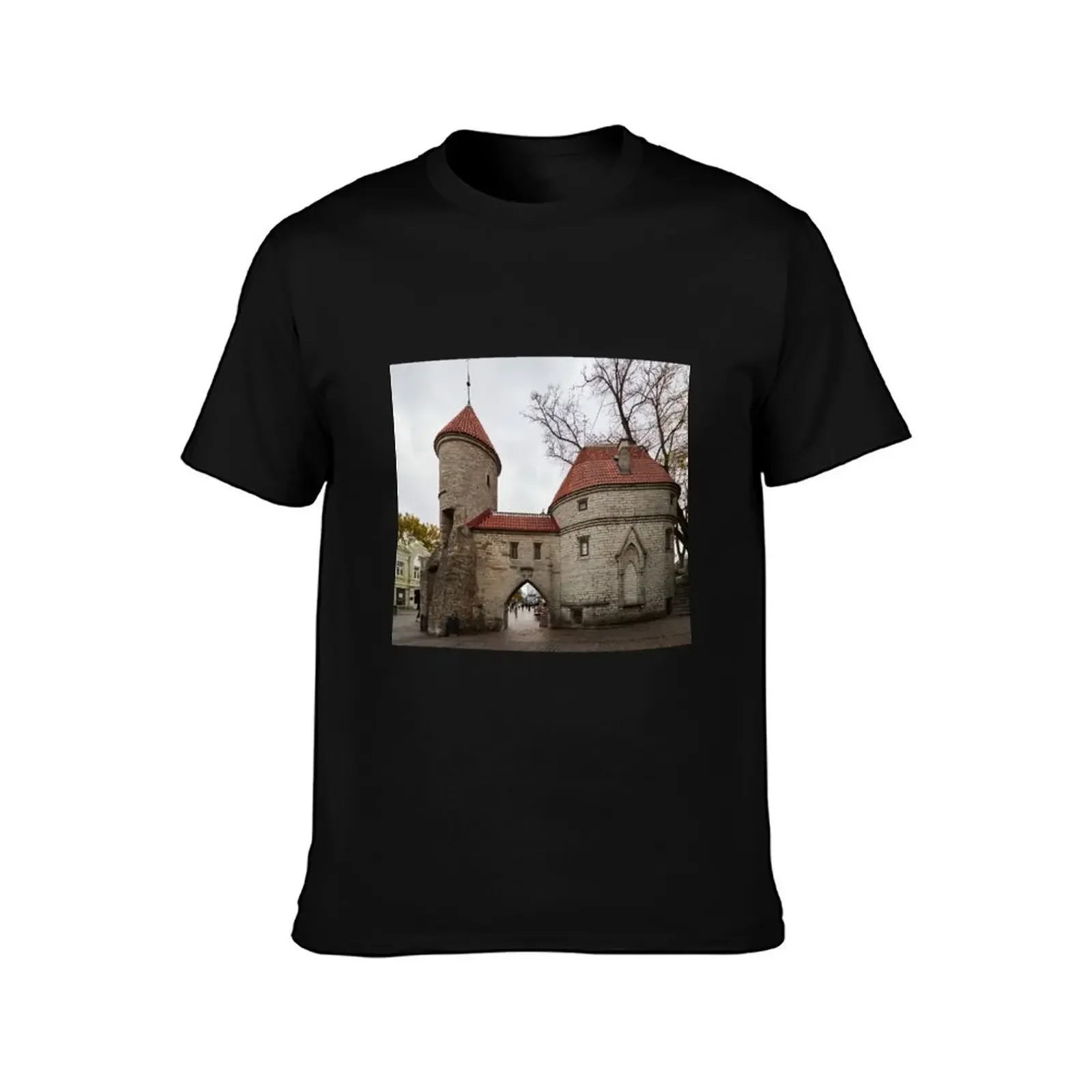 Мужская футболка с принтом &quotворота вирю&quot