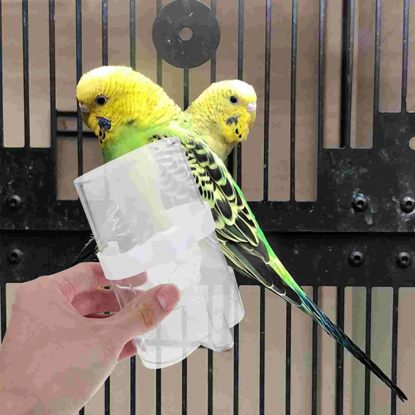 Pvc Hanging Cage Buckle Design