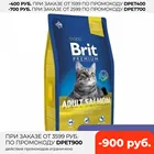 Brit Premium Cat Adult для взрослых кошек, Лосось, 8 кг.