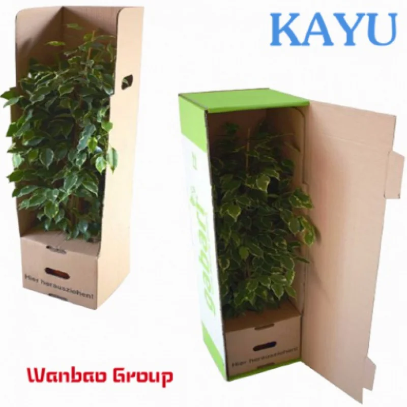 Wholesale China Custom Paper Cardboard Long Live Plant Packaging Shipping Box for Plants