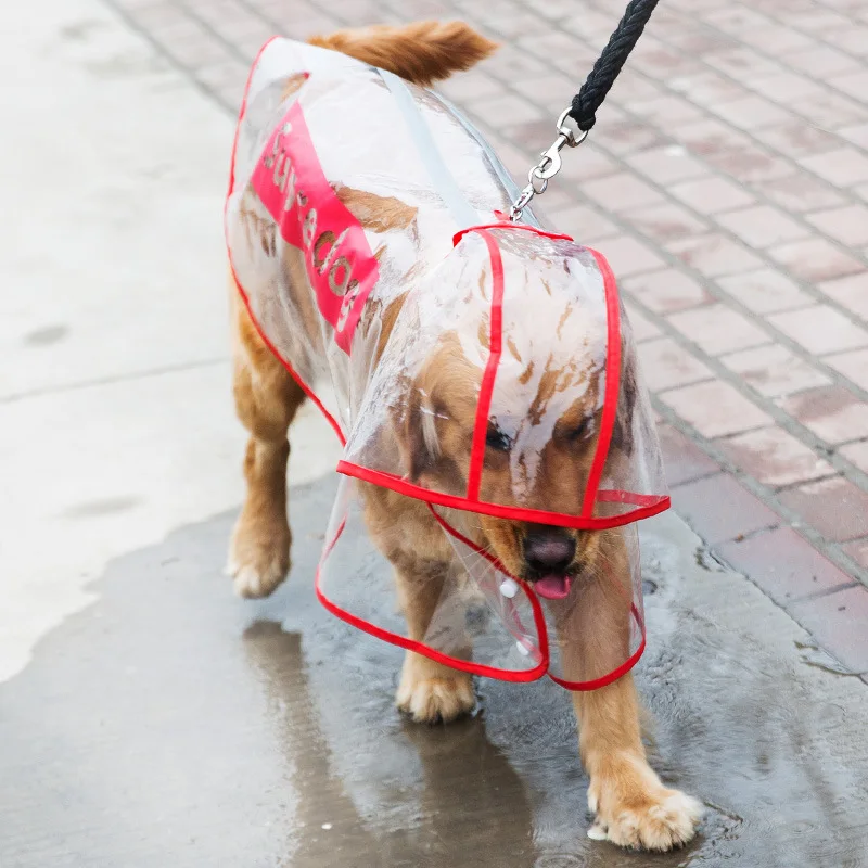 

Dog Raincoat Large Dog Samo Golden Haired Labrador Large Dog Raincoat Summer Waterproof Poncho Pet Transparent Cape