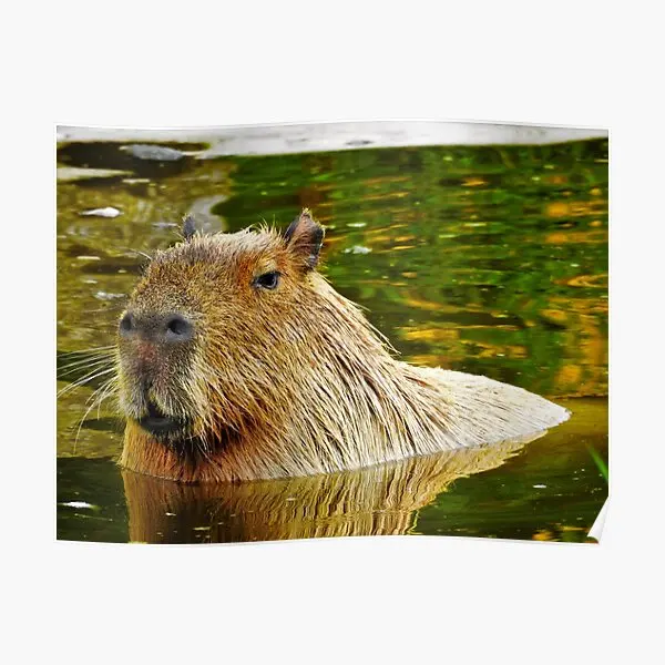 

Capybara Poster Vintage Home Wall Painting Funny Picture Decor Decoration Modern Room Print Mural Art No Frame