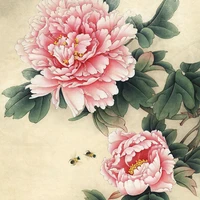 meticulous painting ripe xuan papers traditional chinese painting flower bird peony line drafts beginners copying coloring paper