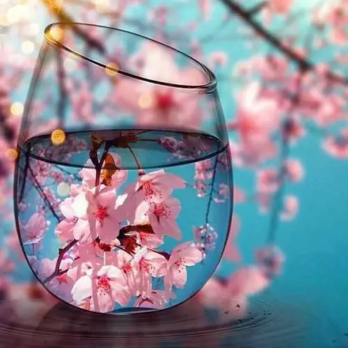 

00450Ann-Tulip diy digital oil painting oil painting acrylic flower painting explosion hand-filled landscape painting