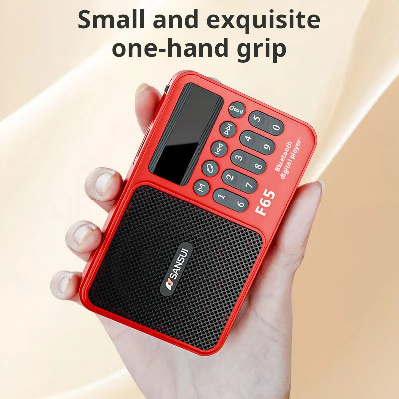 Фото Shanshui F65 Портативное FM-радио MP3 Walkman TF/USB Bluetooth Беспроводной динамик Спорт на открытом воздухе Мини-цифровая машина для заказа песен №4