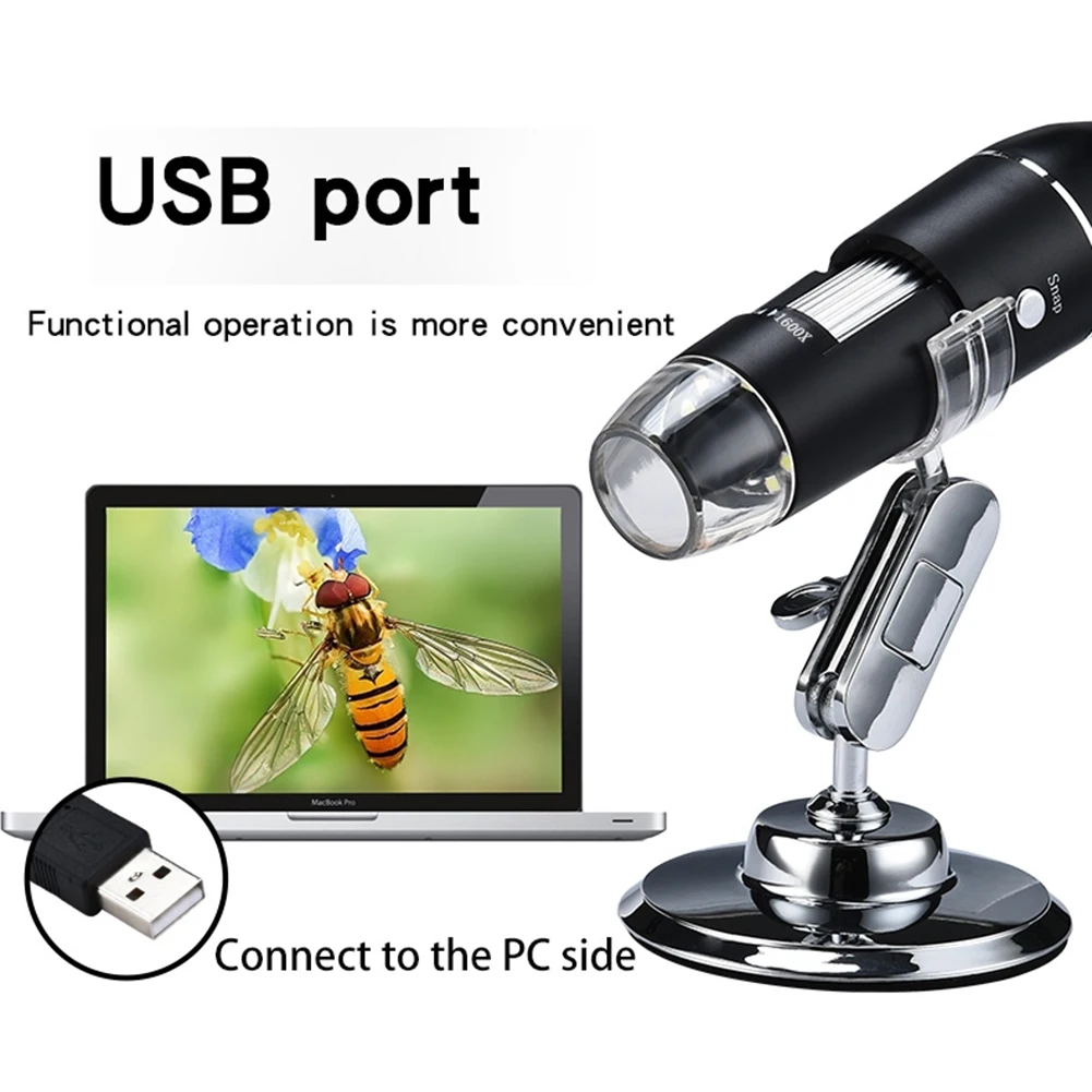 microscope magnifying glass children crawlers animal spider insect box magnifier educational toy for children gift free global shipping