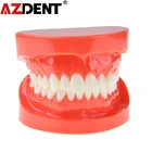 Стоматологический протез, модель зубов, обучающий стоматологический симулятор, инструменты техника