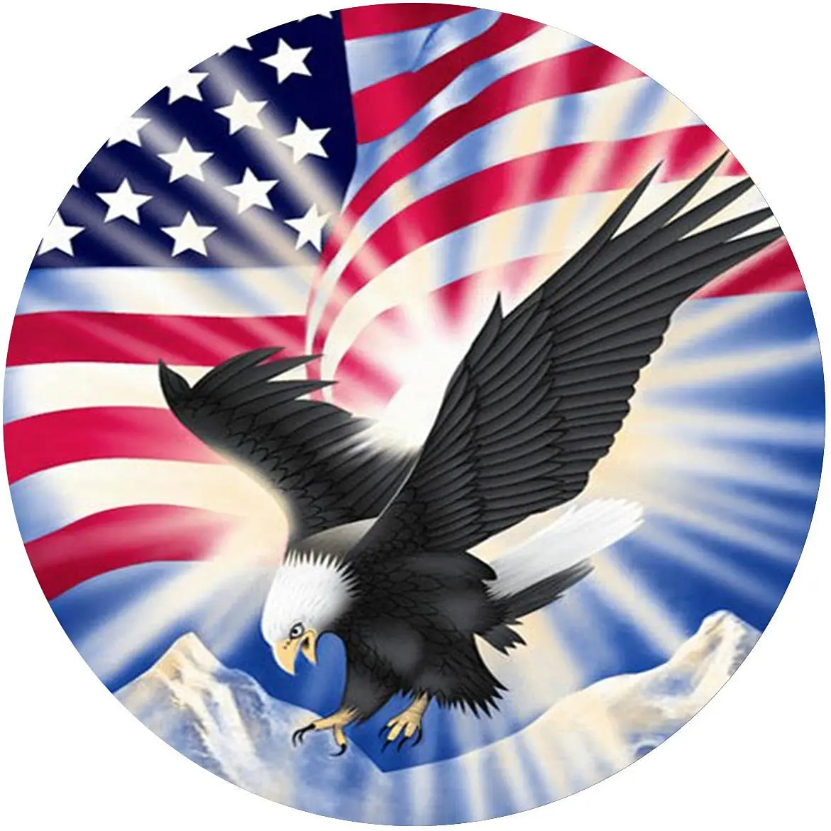 WZVZGZ металлический жестяной знак круглый американский флаг Орел патриотический