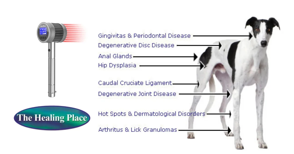 Оборудование для физиотерапии лазерной терапии многофункциональное устройство