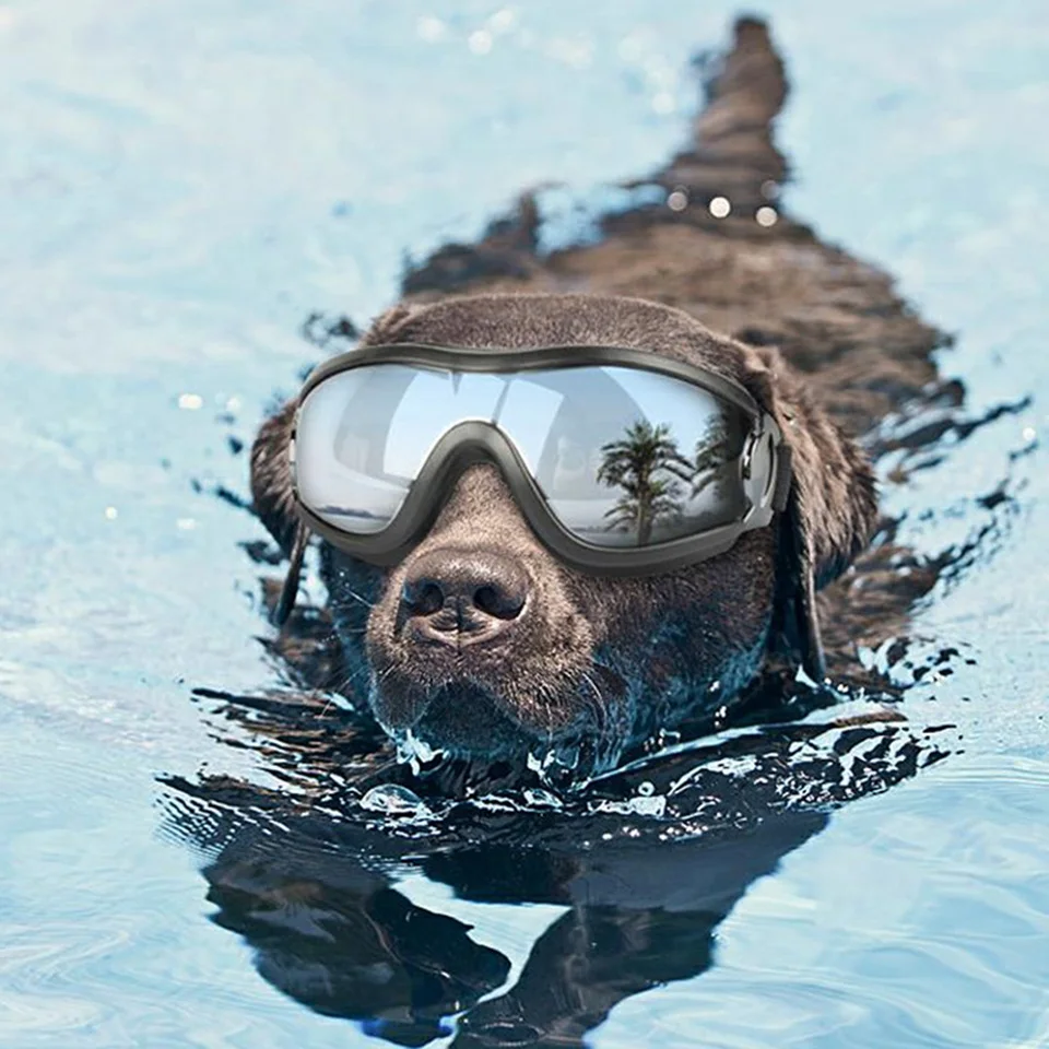 

DualPet Fashion Sun Glasses Goggles Eyewear UV Fashion Sunglasses Waterproof Windproof for Medium Large Dogs Outdoor