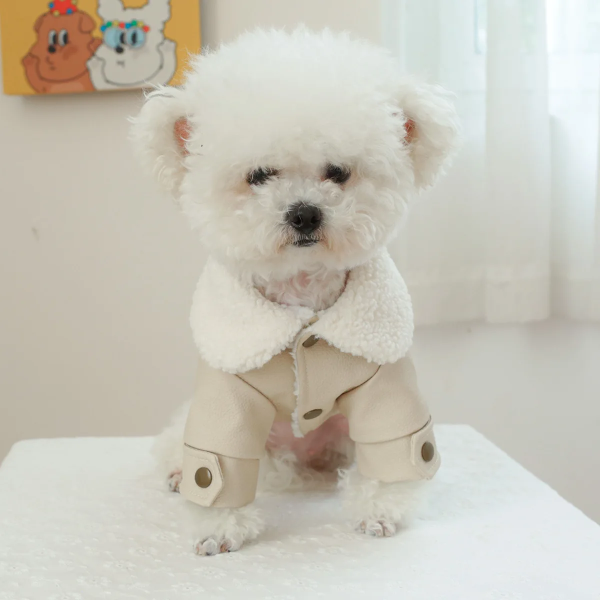 Водонепроницаемый собачий жаккардовый водонепроницаемый комбинезон теплая