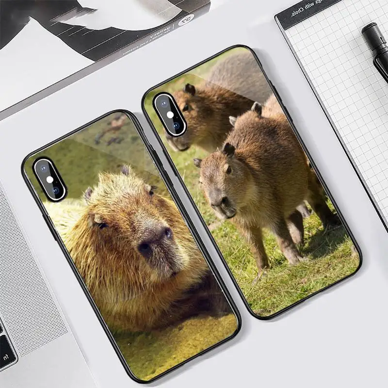 

Capybara cute animal Phone Case Tempered glass For iphone 11 12 13 PRO MAX mini 6 7 8 plus X XS XR