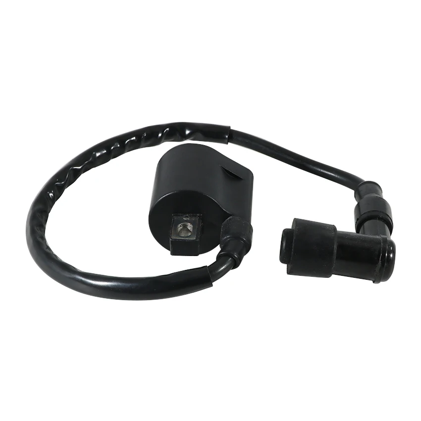 Катушка зажигания лодки в сборе для Yamaha TW200E TW200 TW125 TTR125R TTR125LWE TTR125LW TTR125L TTR125E TTR125 TTR110