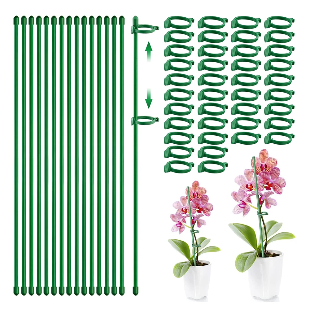 15pcs Plant Flower Potted Support Stand Holder Stake Stander Fixing Tool Gardening Supplies Shrub For Orchid Bonsai Plant Stakes