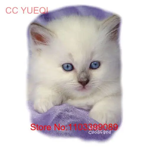 Синий глаз белый котенок футболка Размеры/цвета