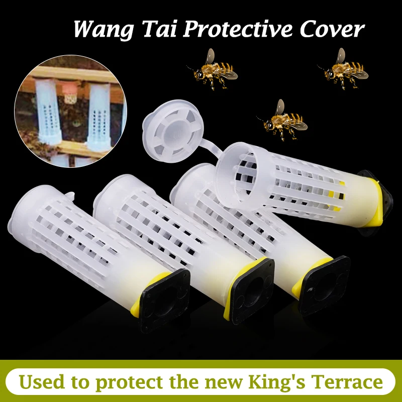 80 шт. Пластиковые Клетки для вывода пчелиных маток